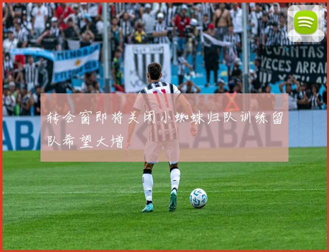 转会窗即将关闭小蜘蛛归队训练留队希望大增
