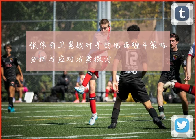 张伟丽卫冕战对手的地面缠斗策略分析与应对方案探讨
